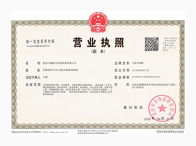 武漢中盛起元科技發展有限公司